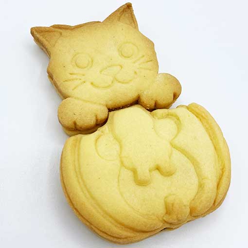 biscuit chat citrouille